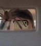 Sun Visor Spider Surprise