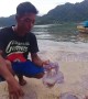 Dramatic video shows hundreds of jellyfish wash up dead on Indonesian beach