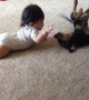 Baby adorably interacts with Chiweenie dog for the first time
