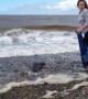 Volunteers rescue seal cub from beach in Lancashire, UK
