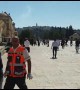 Tension at Jerusalem holy site as Muslim and Jewish festivals coincide