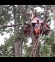 Indian villager forced to live in treehouse after elephants destroy his home