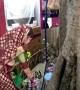 Hug of nature: Indian family builds house around 'sacred' fig tree