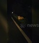 Wild Siberian tiger spotted walking across road at night in China's Yanbian