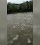 Hundreds of silver carp leap out of lake in China due to typhoon Lekima