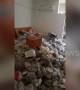 Landlady in China finds her apartment riddled with rubbish and a caged cat carcass