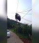 Scooter transported on truck ends up tangled in power lines above road in China
