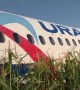 Plane crash-lands in Russian field after hitting flock of birds