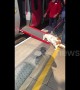 UK train conductor sets up ramp to help short-legged dog board train