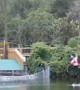 Alligator Leaps Out Of The Water Attempting To Bite Woman On Zipline