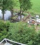 Tree Trimmer Tumbles into Pond