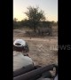 Cute moment baby rhino pretends to charge at safari jeep in South Africa