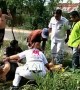 German cyclist, 69, gored by elephant in Thailand