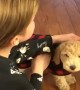 Little girl\'s tearful reaction after getting surprise puppy
