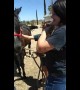 'Look what we got!' US woman surprises granddaughter with her first horse