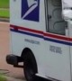 Golden Retriever patiently waits for mail delivery
