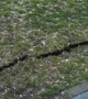 Crack in Earth Seems to Breathe After Earthquake