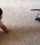 Dog\'s first interaction with baby is absolutely priceless
