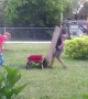 Backyard Fails