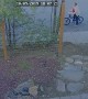 Person Takes Poopy Parcel