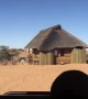 Tourists in South Africa unexpectedly find lion in front of their room