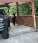 Bear Makes Off with Bacon