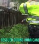 Police Officers rescue two kittens during Hurricane Dorian