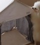 Pomeranian's Doggylicious Dance Moves