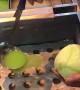 A Lesson in Making Lettuce