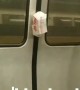 Train Passenger Reunited with Their Take Out
