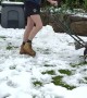 A Mow Through Snow