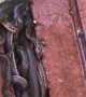 Small Snakes Find Home in Stack of Bricks