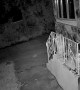 Burglars Run Screaming After Waking Homeowner