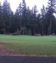 Angry Elk on the Green