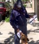 Mail Carriers Vs. The World