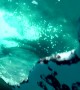 Humpback whale bumps into free diver\'s camera