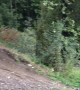 Mountain Bike Jumps Bear