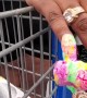 Bedazzled Nails in Big Box Store
