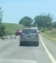 Large Gaggle of Geese Crosses Road