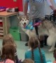 Kids sing \'Happy Birthday\' to school\'s therapy dog