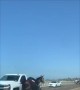 Horse Gallops Along Highway