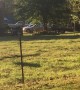 Deer Jumps into Fence