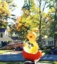 Pumpkin Destruction