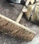 Cat and Bird Cuddle by a Broom