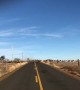 Huge Herd of Elk Crossing the Road