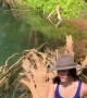 Close Encounter with a Hidden Saltwater Crocodile
