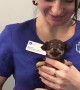 Puppy Doesn't Mind Visiting the Vet