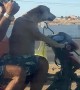 Dog Chauffeurs His Humans on Motorbike