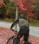 Cyclist Falls for Fall Colors