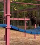 Dog Scoots Down Swirly Slide